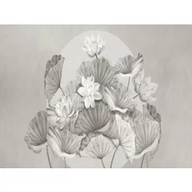 RIMURA / Main Collection