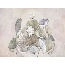 RIMURA / Main Collection