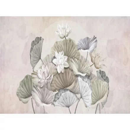 RIMURA / Main Collection