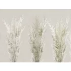 RIMURA / Main Collection