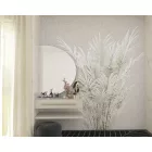 RIMURA / Main Collection