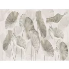 RIMURA / Main Collection