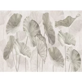 RIMURA / Main Collection