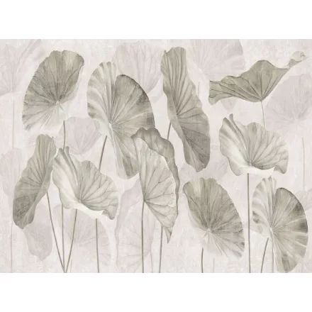 RIMURA / Main Collection