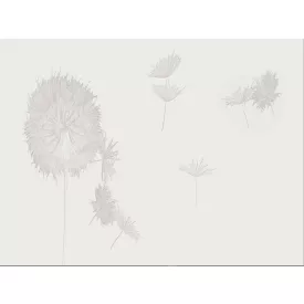 RIMURA / Main Collection