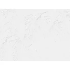 RIMURA / Main Collection