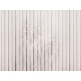 RIMURA / Main Collection