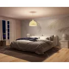 RIMURA / Main Collection