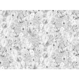 RIMURA / Main Collection