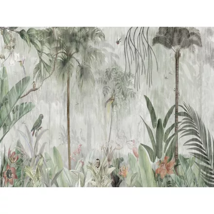 RIMURA / Main Collection