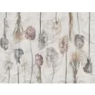 RIMURA / Main Collection