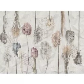 RIMURA / Main Collection