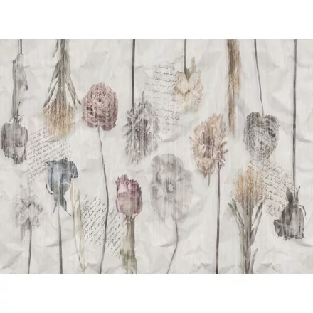 RIMURA / Main Collection