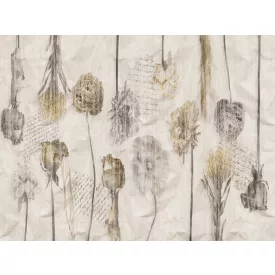 RIMURA / Main Collection