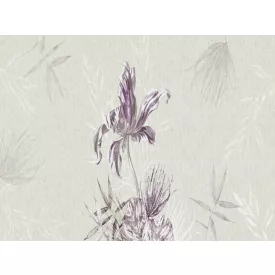 RIMURA / Main Collection