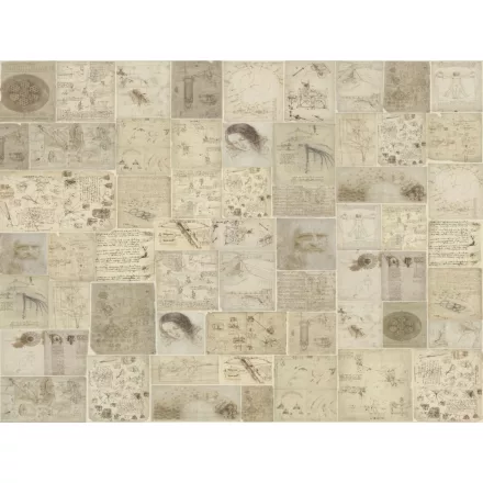 RIMURA / Main Collection