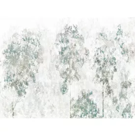 RIMURA / Main Collection