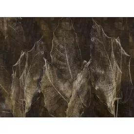 RIMURA / Main Collection