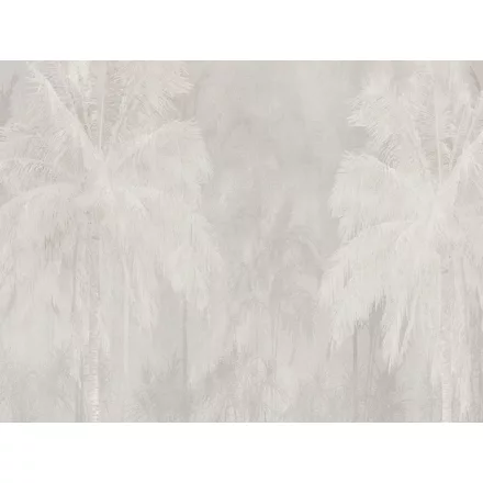 RIMURA / Main Collection