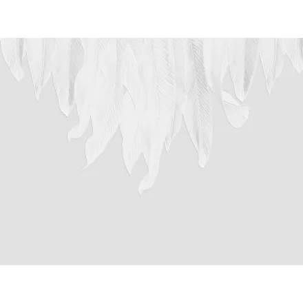 RIMURA / Main Collection