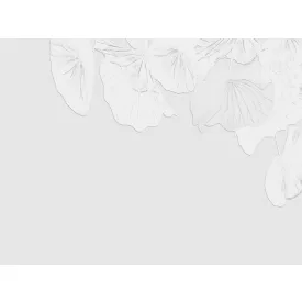 RIMURA / Main Collection