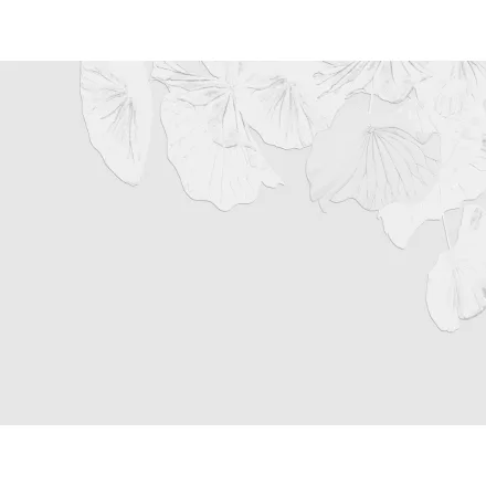 RIMURA / Main Collection