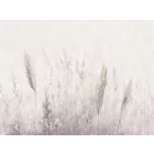 RIMURA / Main Collection