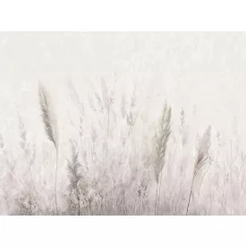 RIMURA / Main Collection