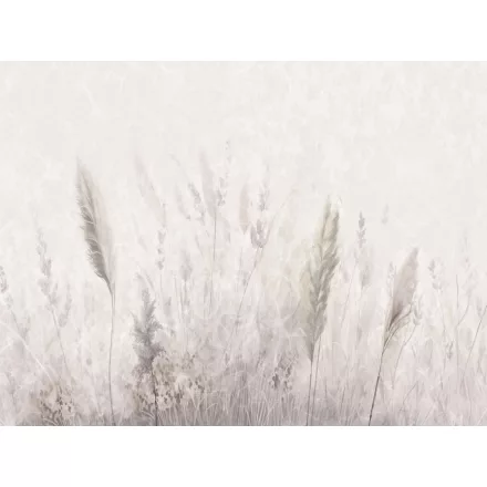 RIMURA / Main Collection