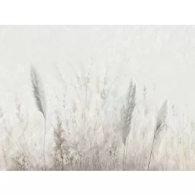 RIMURA / Main Collection