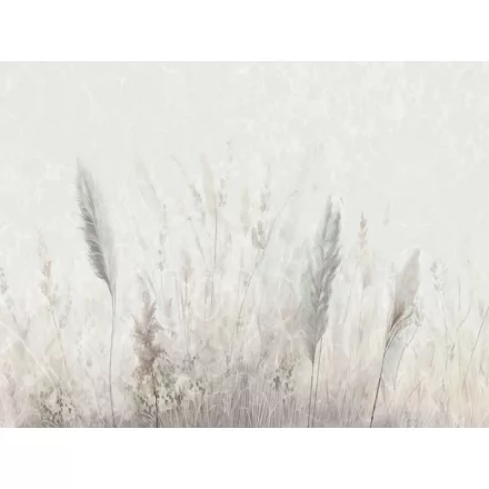 RIMURA / Main Collection