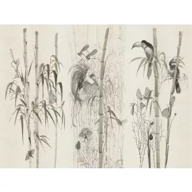 RIMURA / Main Collection