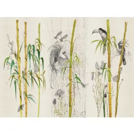 RIMURA / Main Collection