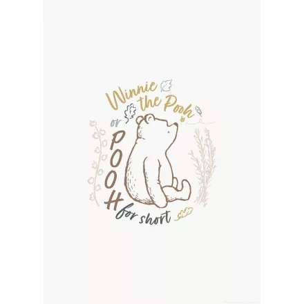 Komar / Disney Edition 4 poszter