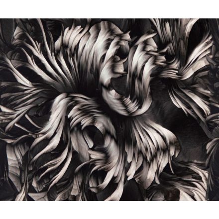 Wall&Deco  CWC  Flower and Paints