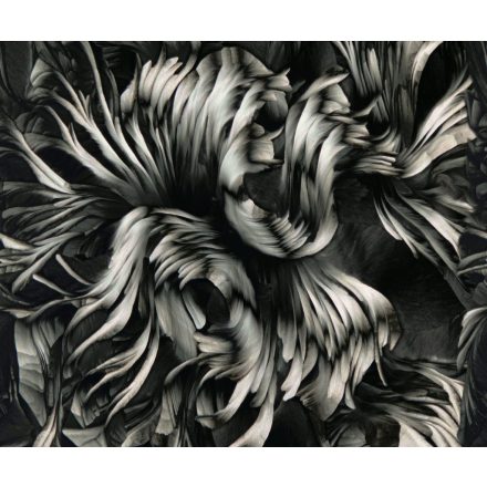 Wall&Deco  CWC  Flower and Paints