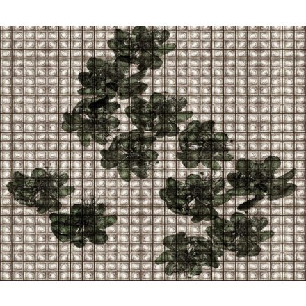 Wall&Deco  CWC  Flower and Paints