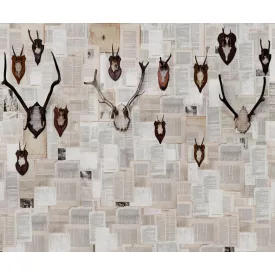 Wall&Deco  CWC  Animals