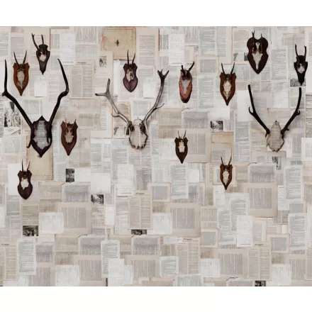 Wall&Deco  CWC  Animals