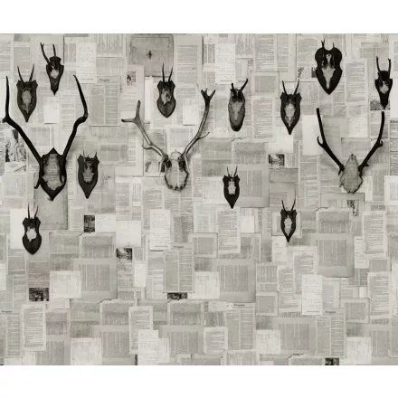 Wall&Deco  CWC  Animals