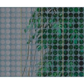 Wall&Deco  CWC  Flower and Paints