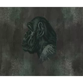 Wall&Deco  CWC  Animals