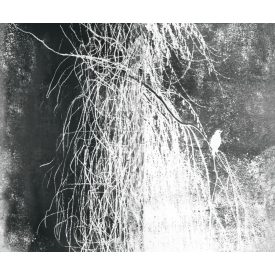 Wall&Deco  CWC  Flower and Paints