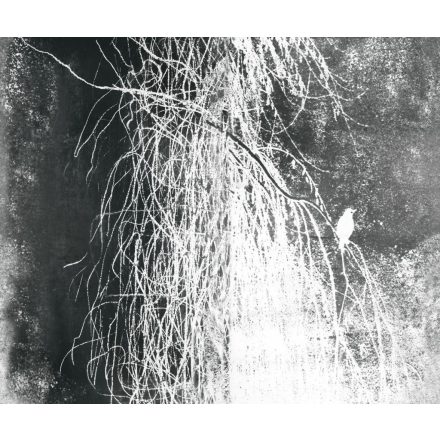 Wall&Deco  CWC  Flower and Paints