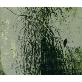 Wall&Deco  CWC  Flower and Paints