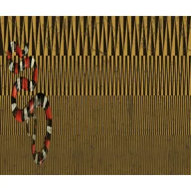 Wall&Deco  CWC  Abstract