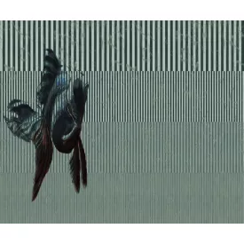 Wall&Deco  CWC  Abstract