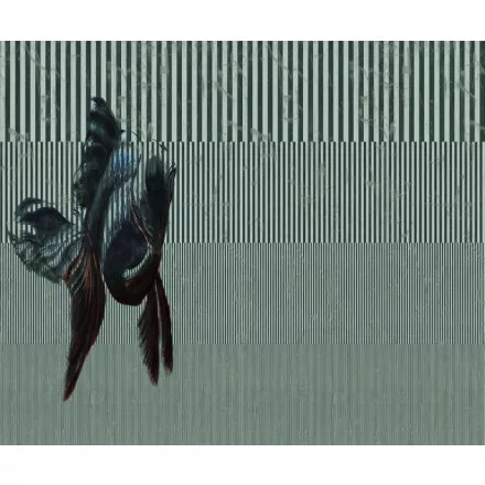 Wall&Deco  CWC  Abstract