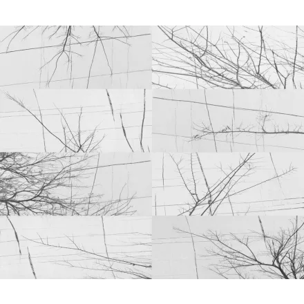 Wall&Deco  CWC  Abstract