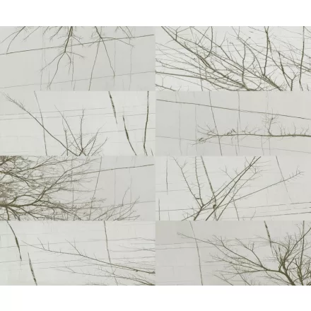 Wall&Deco  CWC  Abstract